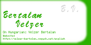 bertalan velzer business card